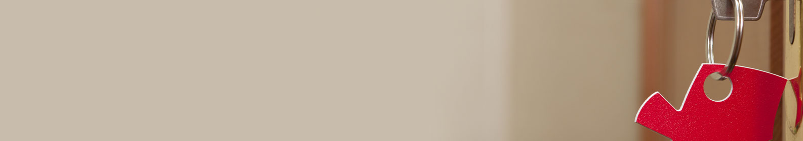 Banner categor&iacute;a interna