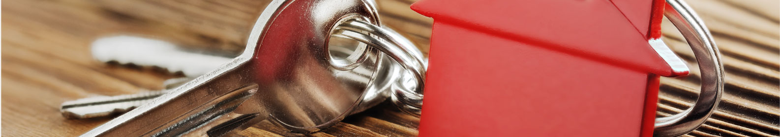 Banner categor&iacute;a interna