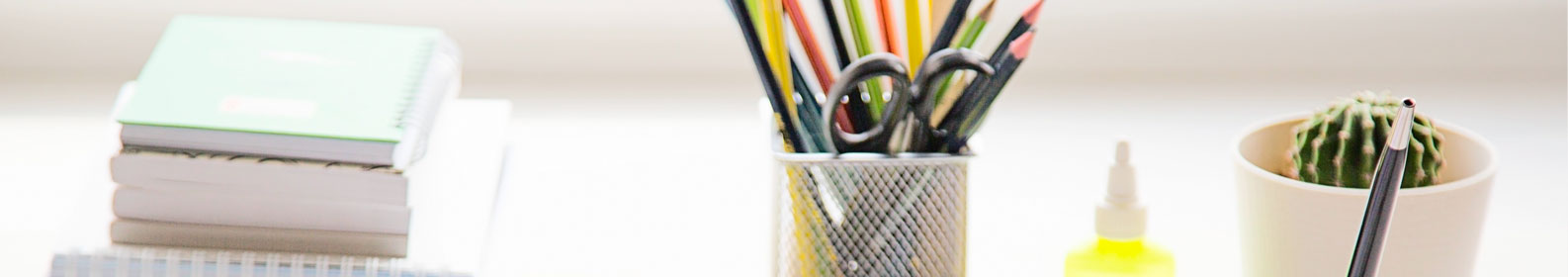Banner categor&iacute;a interna