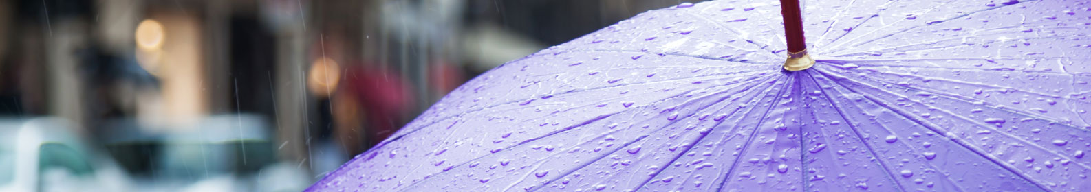 Banner categor&iacute;a interna