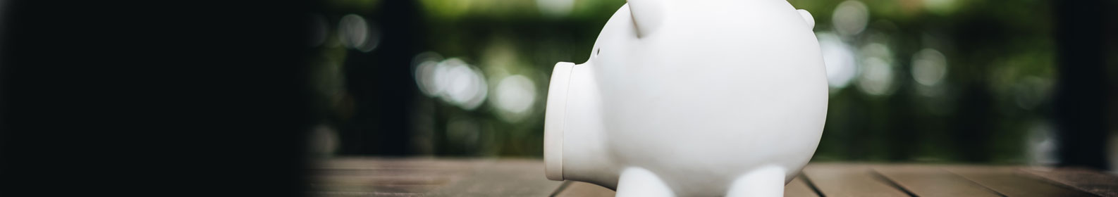 Banner categor&iacute;a interna